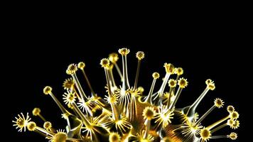 Intricate golden virus animation loops seamlessly perfect for science visuals or abstract backgrounds video