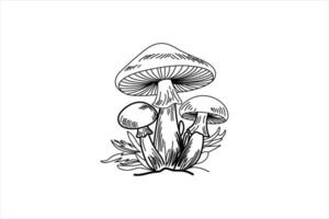 continious online drawing mushrooms single line art illustration vector
