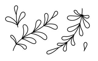 Botanical line art featuring various leafy designs in a simple style vector