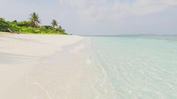 The amazing wild beach of the island of Maldives in the Indian Ocean. Azure water and palm trees. Palm shadow on the white sand video