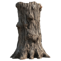 A tree trunk with a hole in it png