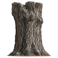 A tree trunk with a large trunk and leaves png