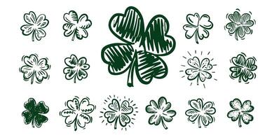 Clover set on white, Patricks Day, hand drawn illustrations. vector