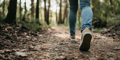 Taking a leisurely stroll along a peaceful and serene path through a beautiful forest grove photo