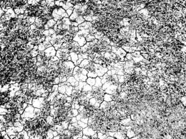 Dirty and distressed texture vector
