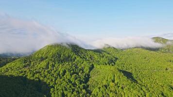 Aerial view Hyperlapse of green mountains covered with morning clouds. The movement of clouds over the landmarks of the mountains. Beautiful morning hyparlapsia from a drone. video