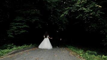 Bride and groom walking hand in hand through a forest path, couple walking on a forest path, holding hands in wedding attire. video