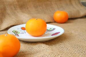 Side view of citrus fruits on a plate. Wogan Orange. with copy space photo
