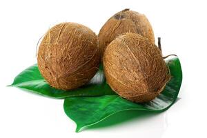 Coconuts with leaves, isolated on white background. photo