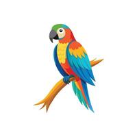 Elegant Parrot with Intricate Feather Details Illustration Design on White Background vector