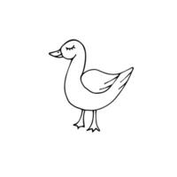 Hand drawn doodle sketch duck isolated on white background vector