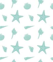 Seamless pattern of shell and sea stars vector