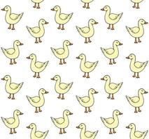 Seamless pattern of hand drawn doodle sketch duck vector