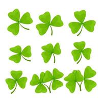 Set of different types of green shamrock clover for St. Patrick's Day vector