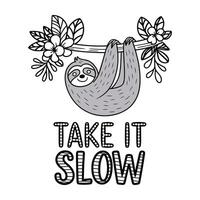 Take It Slow T Shirt Design Sloth on a Tree vector