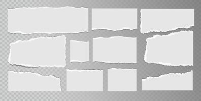 Realistic ripped white paper sheets isolated on transparent background. Torn blank pages with uneven texture. vector