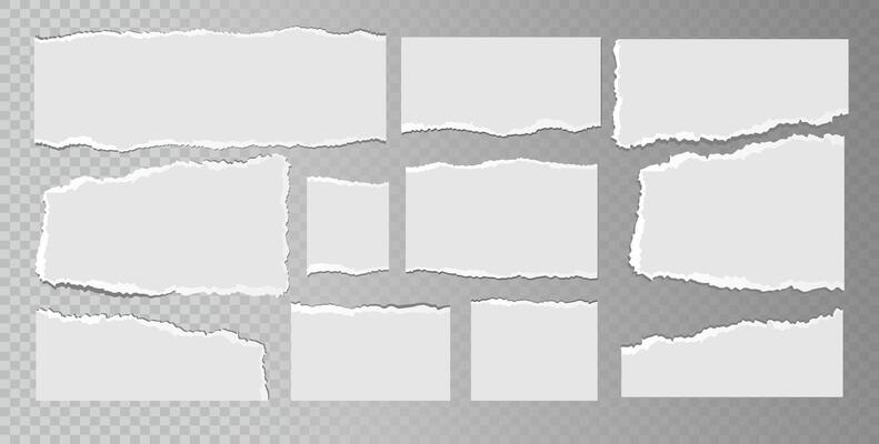 Realistic ripped white paper sheets isolated on transparent background. Torn blank pages with uneven texture.