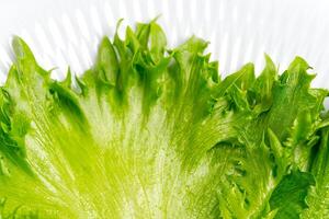 A high-quality stock photo of a fresh green lettuce leaf, isolated on a white background. Perfect for use in food and beverage advertising, healthy eating campaigns, or as a background for text.