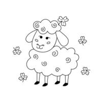 Cute Irish sheep and shamrocks. St Patricks Day symbol. doodle illustration. Smiling hand drawn sheep isolated on white background. Patricks Day March 17 coloring page, design element vector