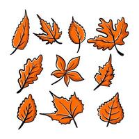 Set of autumn leaves from different trees with doodle style drawing vector