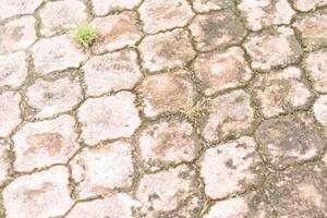 Weathered Stone Pavement with Grass photo