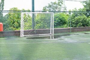 Wet Soccer Goal on Green Field photo
