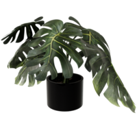 3d potted plant with green leaves on a transparent background png