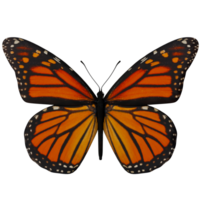 A monarch butterfly is shown on a transparent background png