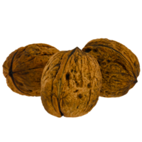3d render three walnuts with transparent background png