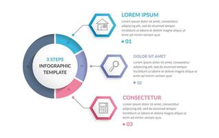 Infographic template with three hexagons vector