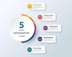 5 option circle infographic chart vector