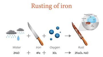 Illustration of Rusting Process Diagram Showing Rust Formation on a Knife vector