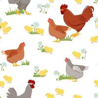Seamless pattern with domestic birds or farm poultry. pattern, texture, background with chicken for Easter and other users. Packaging design vector