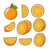 a variety of oranges cut into shapes and arranged in different positions vector