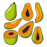 Several papaya in different positions, along with some cut into various pieces. vector