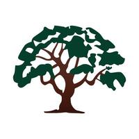 Beautiful Tree with Green Leaves and Bold Stem - Tree Design vector