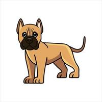 Cane Corso Chronicles Understanding the Power and Grace of This Ancient Bree vector