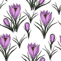 Seamless Floral Pattern With Painted Crocuses vector