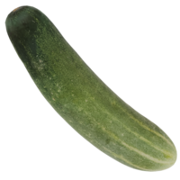 3d render cucumber with transparent background png