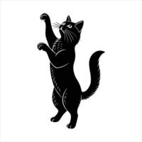 cat that is standing on its hind legs vector