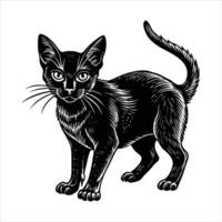 drawing of a cat that has the word quot cat vector