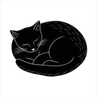 Cat sleeping curled vector