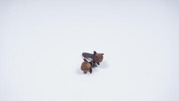 Two Dried Clove Spice Isolated on White Background photo