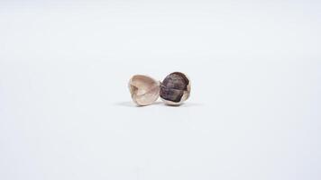 A Peeled White Cardamom with Exposed Seeds photo
