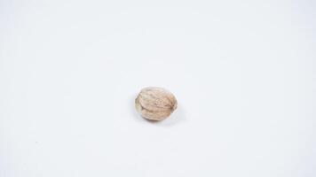 A Dried White Cardamom on White Background photo