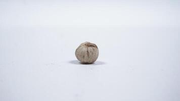 A White Cardamom Spice on White Background photo