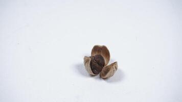 A Peeled Dried White Cardamom with Exposed Seeds on White Background photo