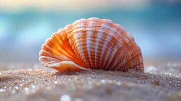 A shell on the beach with a blue sky photo