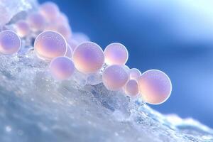 fruiting bodies of microscopic fungi, macro photo