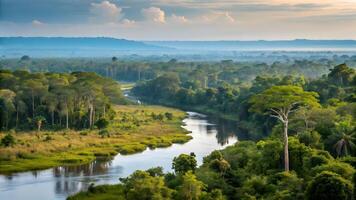 Lush Amazon Rainforest Landscape with Winding River photo